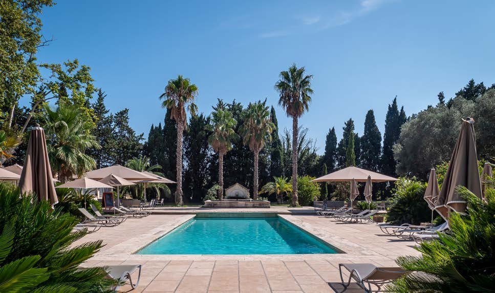 Piscine bordée de palmiers
